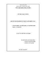 Quyền hành pháp ở việt nam hiện nay 