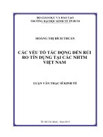 Các yếu tố tác động đến rủi ro tín dụng tại các ngân hàng thương mại cổ phần việt nam 