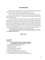 kinh nghiệm thu hút vốn đầu tư trực tiếp nước ngoài ở một số nước và vận dụng vào việt nam 