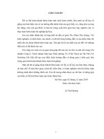 Khai thác cơ hội của chính sách tự do thương mại Việt Nam – Mỹ tới nhập khẩu sữa bột ABBOTT của chi nhánh công ty trách nhiệm hữu hạn dinh dưỡng 3A(Việt Nam) tại Hà Nội