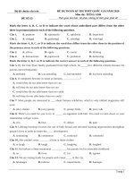 đề chuẩn tiếng anh 2020 theo hướng tinh giản mới của bộ  (26)