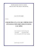 ẢNH HƯỞNG CỦA CÁC QUÁ TRÌNH CHẦN LÊN HÀM LƯỢNG BỘT SINH TỐ MÃNG CẦU XIÊM