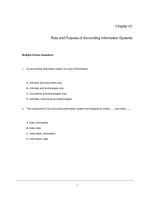 Test bank for accounting information systems 4th edition by hurt 
