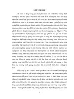 hoàn thiện chiến lược quảng cáo của tổng công ty bia rượu nước giải khát hà nội 