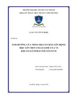 ẢNH HƯỞNG CỦA NỒNG ĐỘ CƠ CHẤT LÊN ĐỘNG HỌC LÊN MEN CELLULOSE CỦA VI KHUẨN ACETOBACTER XYLINUM