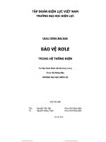 Giáo trình: Bảo vệ Rơ le trong hệ thống điện  Nguyễn Văn Đạt