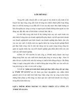 phân tích tình hình đánh giá thực hiện công việc tại công ty TNHH tô GIANG 