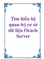 Giáo trình: Tìm hiểu hệ quản trị cơ sở dữ liệu Oracle Server