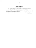 Hoàn thiện phân tích hiệu quả kinh doanh trong các công ty cổ phần niêm yết trên thị trường chứng khoán Việt Nam - Luận văn Quản trị kinh doanh