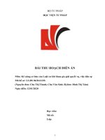 Dien an dan su ho so 06 2020 chu thi thanh dinh thi tam