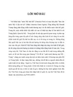 tiểu luận kinh tế học quốc tế i chiến tranh thương mại mỹ trung, cơ hội nào cho việt nam 