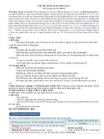 Giáo án dạy học TOÁN 11  theo định hướng phát triển phẩm chất năng lực