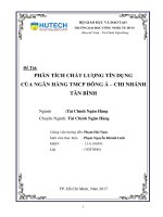 Phân tích chất lượng tín dụng của ngân hàng TMCP đông á   chi nhánh tân bình​ 