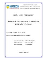 Phân tích cấu trúc vốn của công ty tnhh đầu tư asia VN​ 