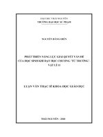 Phát triển năng lực giải quyết vấn đề của học sinh khi dạy học chương từ trường   vật lí 11 