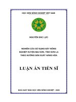 Nghiên cứu sử dụng đất nông nghiệp huyện mai sơn, tỉnh sơn la theo hướng sản xuất hàng hóa