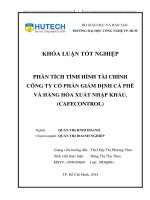 Phân tích tình hình tài chính công ty cổ phần giám định cà phê và hàng hóa xuất nhập khẩu (cafecontrol)​ 