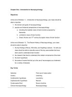 Test bank for neuropsychology 1st edition by elias 