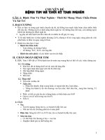 bệnh tim và thời kỳ thai nghén