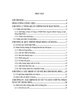 tiểu luận nghiệp vụ hải quan quy trình làm thủ tục hải quan nhập khẩu cho lô hàng đậu xanh của công ty TNHH thảo nguyên thịnh vượng 