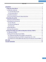tiểu luận tài chính doanh nghiệp đánh giá hoạt động của quỹ đầu tư chứng khoán việt nam   VFMVF1 