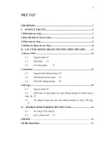 tiểu luận tài chính công nghiên cứu một số cuộc khủng hoảng nợ công trên thế giới và bài học cho việt nam bài 2 