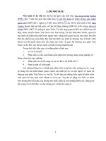 tiểu luận kinh tế học quốc tế II quan hệ thương mại giữa việt nam và ấn độ lợi thế so sánh và tính bổ sung thương mại  