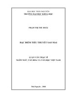 Đặc điểm tiểu thuyết sao mai 