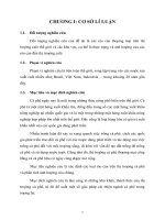 tiểu luận giao dịch thương mại quốc tế các rào cản trên thị trường cà phê thế giới, các khu vực 