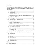 tiểu luận tài chính công nghiên cứu ảnh hưởng của thâm hụt ngân sách nhà nước đến cán cân thanh toán ở việt nam 