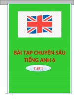 BÀI TẬP LUYỆN CHUYÊN SÂU THEO TỪNG UNIT ANH 6 CTM