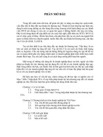 tiểu luận nghiệp vụ hải quan các vấn đề liên quan đến chương trình doanh nghiệp ưu tiên tại việt nam 