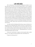 tiểu luận tài chính công phương pháp đánh giá và các nhân tố ảnh hưởng đến tính bền vững của nợ công 