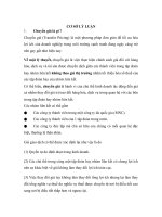 tiểu luận kinh tế học quốc tế II bài toán chuyển giá trong lĩnh vực FDI ở việt nam 