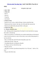 Giáo án âm nhạc lớp 1 ( bộ sách cách diều năm học 2020   2021)