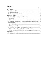 tiểu luận tài chính công thực trạng thực hiện các chính sách quản lý nợ công ở việt nam giai đoạn 2009 đến nay 