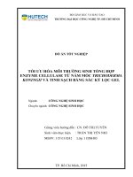 Tối ưu hóa môi trường sinh tổng hợp enzyme cellulase từ nấm mốc trichoderma koningii và tinh sạch bằng sắc ký lọc gel​ 