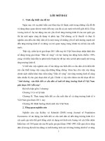 tiểu luận kinh tế phát triển ảnh hưởng  của biến đổi cơ cấu dân số tuổi tới tăng trưởng kinh tế việt nam giai đoạn 2011 đến nay 