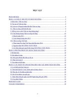 tiểu luận tài chính công trần nợ công và phương pháp xây dựng trần nợ công, các nhân tố ảnh hưởng đến việc xác định nợ công 