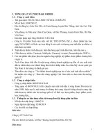 tiểu luận giao dịch thương mại quốc tế phân tích bộ chứng từ xuất khẩu tinh dầu húng quế  của công ty cổ phần TECH  VINA 