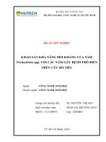Khảo sát khả năng đối kháng của nấm trichoderma spp  với các nấm gây bệnh phổ biến trên cây hồ tiêu​ 