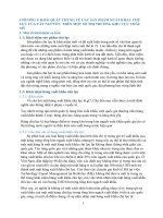 tiểu luận giao dịch thương mại quốc tế các sản phẩm xuất khẩu chủ lực của tây nguyên trên một số thị trường khu vực châu mỹ 