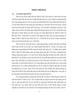 tiểu luận tài chính công những nhân tố ảnh hưởng đến việc xác định trần nợ công tại việt nam 