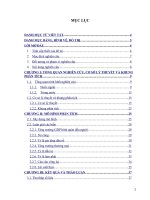 tiểu luận tài chính công bàn về ngưỡng nợ công tối ưu đối với tăng trưởng kinh tế của việt nam và khuyến nghị chính sách quản lý nợ công 