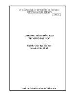 TRƯỜNG ĐẠI HỌC SÀI GÒN. CHƯƠNG TRÌNH ĐÀO TẠO TRÌNH ĐỘ ĐẠI HỌC. Ngành: Giáo dục tiểu học
