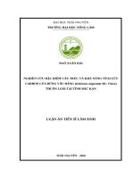Nghiên cứu đặc cấu trúc và khả năng tích lũy các bon của rừng vầu đắng (indosasa angustata mc  clure) thuần loài tại tỉnh bắc kạn​ 