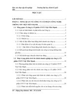 Chuyên đề thực tập - Một số giải pháp nhằm nâng cao hiệu quả kinh doanh của công ty Cổ phần Công nghệ thông tin Việt Tiến Mạnh