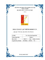 BÁO CÁO ĐỒ ÁN TÍNH TOÁN THIẾT KẾ ROBOT  THIẾT KẾ ROBOT SƠN TƯỜNG