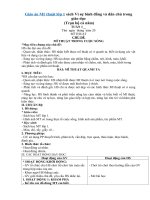 giáo án mỹ thuật lớp 1 (cả năm) - sách vì sự dân chủ và bình đẳng trong giáo dục