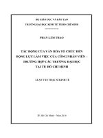 TÁC ĐỘNG CỦA VĂN HÓA TỔ CHỨC ĐẾN   ĐỘNG LỰC LÀM VIỆC CỦA CÔNG NHÂN VIÊN –   TRƯỜNG HỢP CÁC TRƯỜNG ĐẠI HỌC TẠI TP. HỒ CHÍ MINH